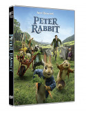 Peter Rabbit