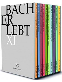 Johann Sebastian Bach - Bach Erlebt XI (11 Dvd)