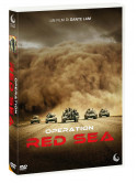 Operation Red Sea