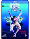 Matthew Bourne - Swan Lake