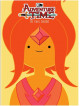 Adventure Time: Final Seasons (4 Dvd) [Edizione: Stati Uniti]
