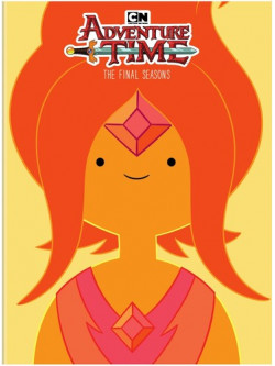 Adventure Time: Final Seasons (4 Dvd) [Edizione: Stati Uniti]