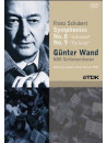 Schubert - Symphonies 8 & 9