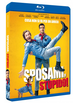 Sposami, Stupido!