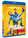 Sposami, Stupido!