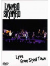 Lynyrd Skynyrd - Lyve From Steel Town