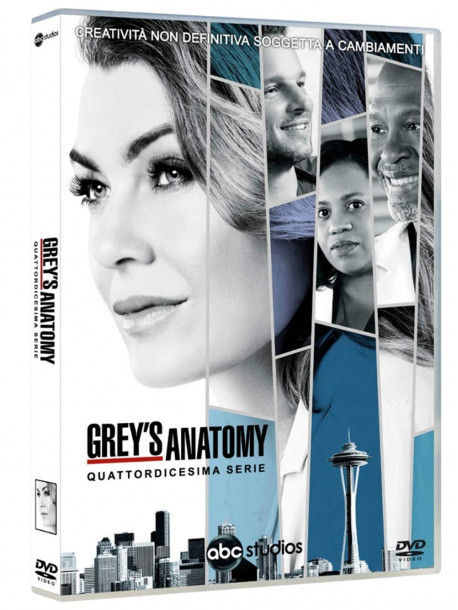 Grey's Anatomy - Stagione 14 (6 Dvd)