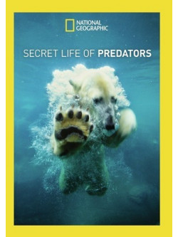 Secret Life Of Predators [Edizione: Stati Uniti]