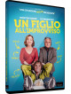 Figlio All'Improvviso (Un)