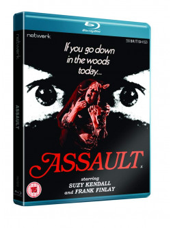 Assault [Edizione: Regno Unito]