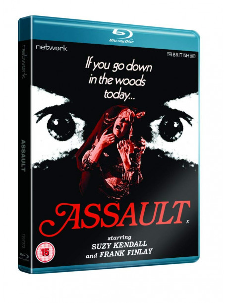 Assault [Edizione: Regno Unito]