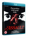 Assault [Edizione: Regno Unito]