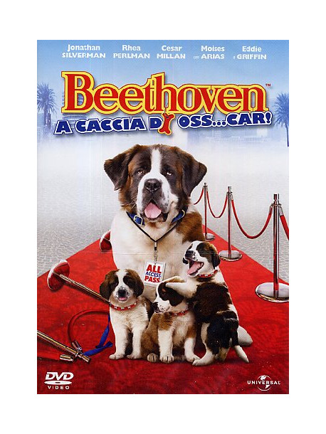 Beethoven A Caccia Di Oss...Car!