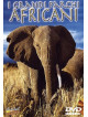 Grandi Parchi Africani (Il)