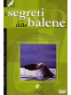 Segreti Delle Balene (I)