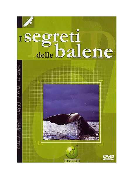 Segreti Delle Balene (I)