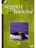 Segreti Delle Balene (I)
