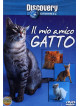 Mio Amico Gatto (Il)