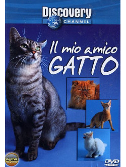 Mio Amico Gatto (Il)