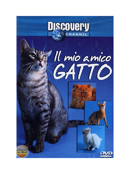 Mio Amico Gatto (Il)