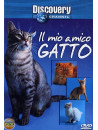 Mio Amico Gatto (Il)