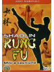 Shaolin Kung Fu