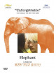 Elephant [Edizione: Stati Uniti]