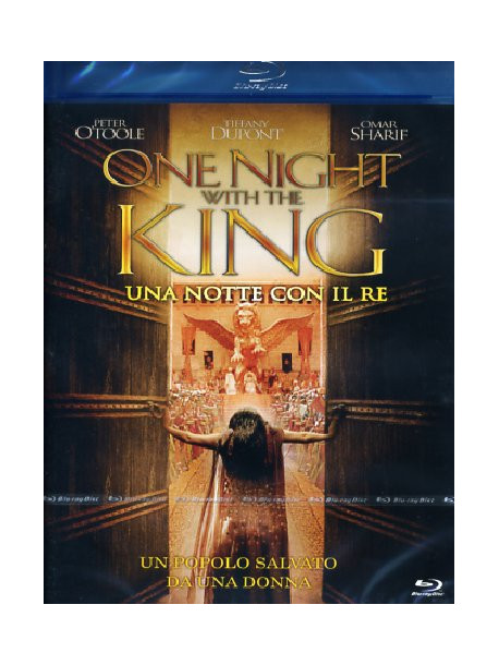 One Night With The King
