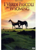 Verdi Pascoli Del Wyoming (I)