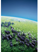Planet Earth (4 Dvd)