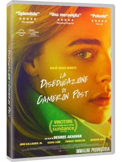 Diseducazione Di Cameron Post (La)