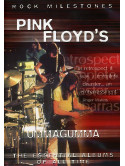 Pink Floyd - Ummagumma