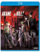 Akame Ga Kill: Complete Collection (3 Blu-Ray) [Edizione: Stati Uniti]
