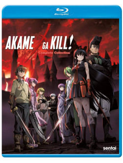 Akame Ga Kill: Complete Collection (3 Blu-Ray) [Edizione: Stati Uniti]