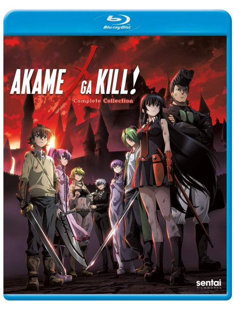 Akame Ga Kill: Complete Collection (3 Blu-Ray) [Edizione: Stati Uniti]