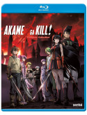 Akame Ga Kill: Complete Collection (3 Blu-Ray) [Edizione: Stati Uniti]