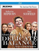 Delicate Balance [Edizione: Stati Uniti]