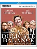 Delicate Balance [Edizione: Stati Uniti]