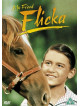 My Friend Flicka [Edizione: Regno Unito] [ITA]