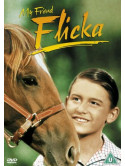 My Friend Flicka [Edizione: Regno Unito] [ITA]