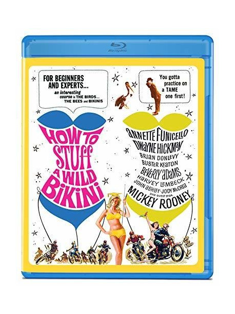 How To Stuff A Wild Bikini [Edizione: Stati Uniti]