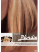 Blondie - Video Hits