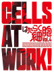 Shimizu Akane - Cells At Work! 4 (2 Blu-Ray) [Edizione: Giappone]