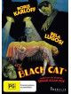 Black Cat [Edizione: Stati Uniti]