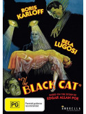 Black Cat [Edizione: Stati Uniti]