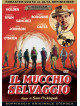 Mucchio Selvaggio (Il)