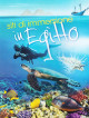 Siti Di Immersione In Egitto