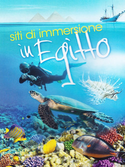 Siti Di Immersione In Egitto