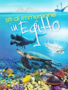 Siti Di Immersione In Egitto