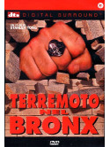 Terremoto Nel Bronx